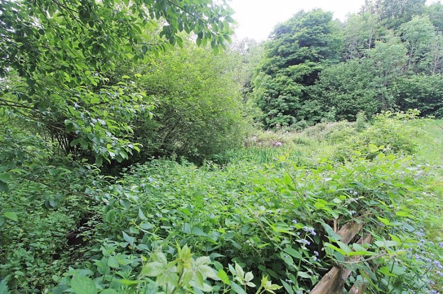 Images for Worth Clough, Middlewood Road, Poynton EAID:Richard Lowth BID:Richard Lowth & Co